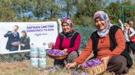 Başkan Özyiğit, “Türkiye’nin en çok safran üreten ilçelerinden biri olabiliriz