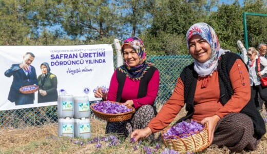 Başkan Özyiğit, “Türkiye’nin en çok safran üreten ilçelerinden biri olabiliriz