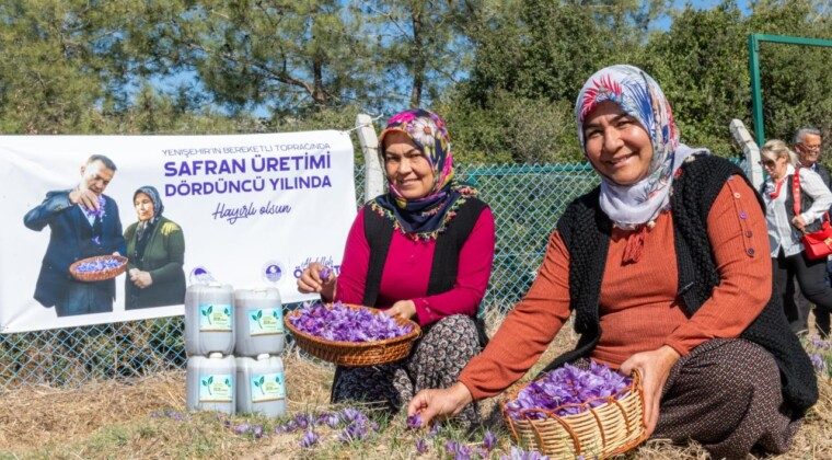 Başkan Özyiğit, “Türkiye’nin en çok safran üreten ilçelerinden biri olabiliriz