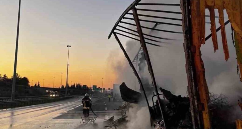 Tarsus’ta tırda çıkan yangında kargo ürünleri yandı